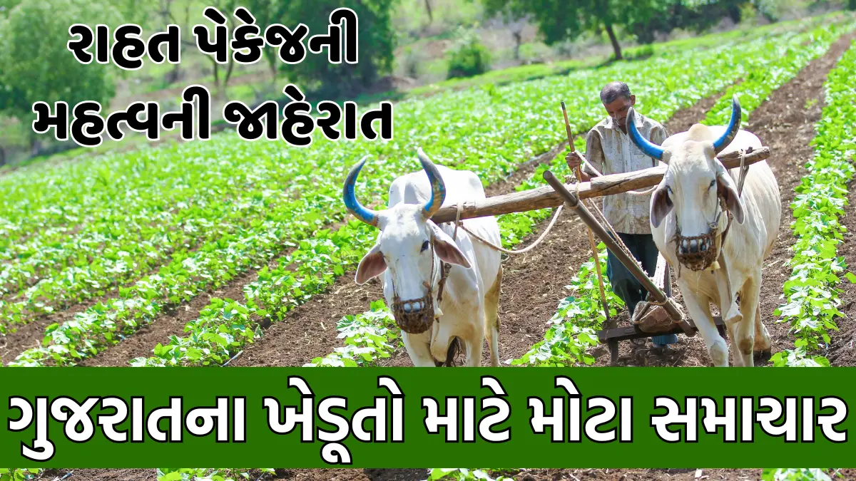 ગુજરાતના ખેડૂતો માટે મોટા સમાચાર