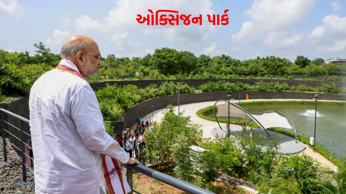 Ahmedabad ‘Oxygen Park’ Ready