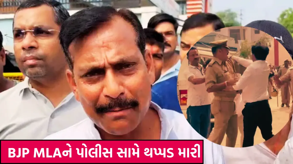 BJP MLA beaten up during ruckus