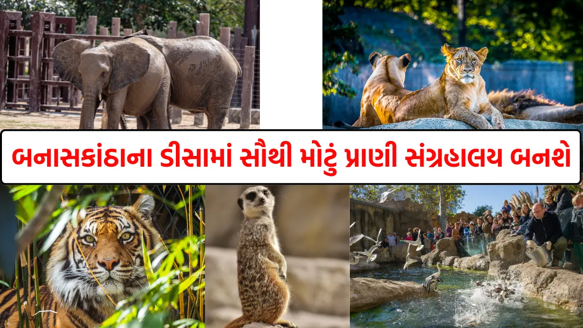 Gujarat largest zoo deesa