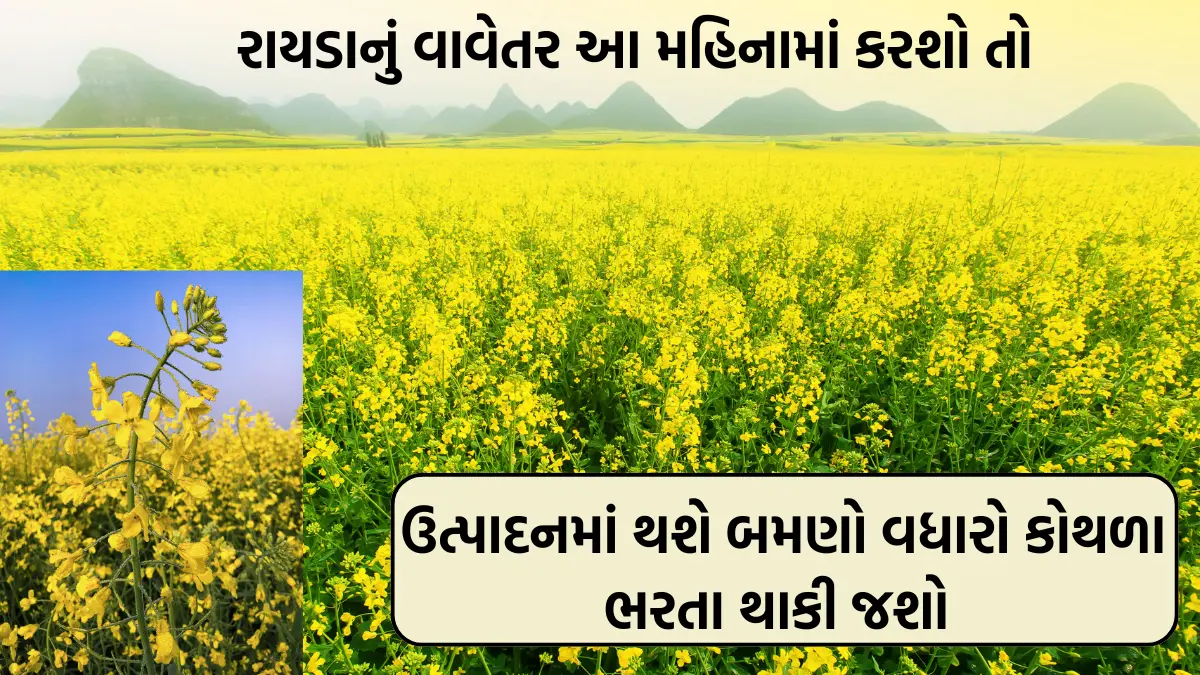 rayda ni kheti gujarati