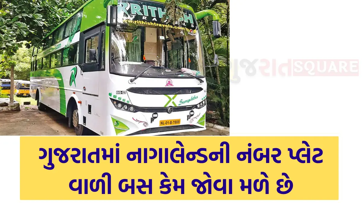 Why are buses with Nagaland number plates seen in Gujarat?
