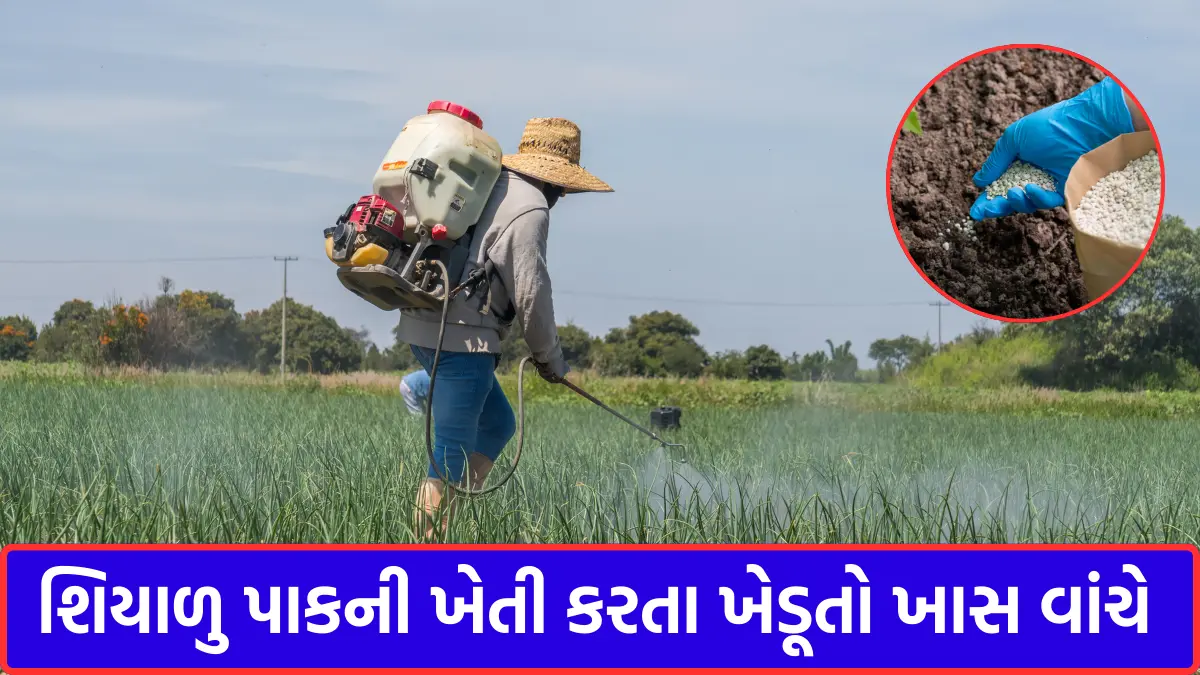 Gujarat Government Advisory For Farmers
