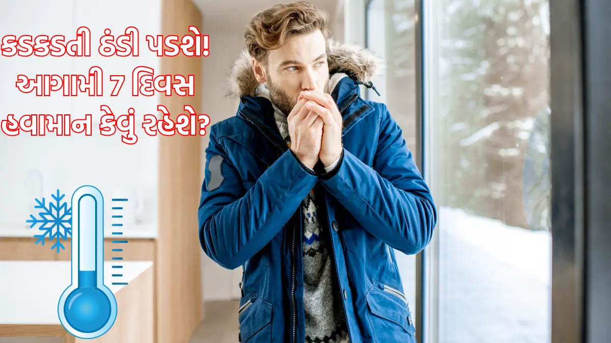 Gujarat winter weather update tomorrow