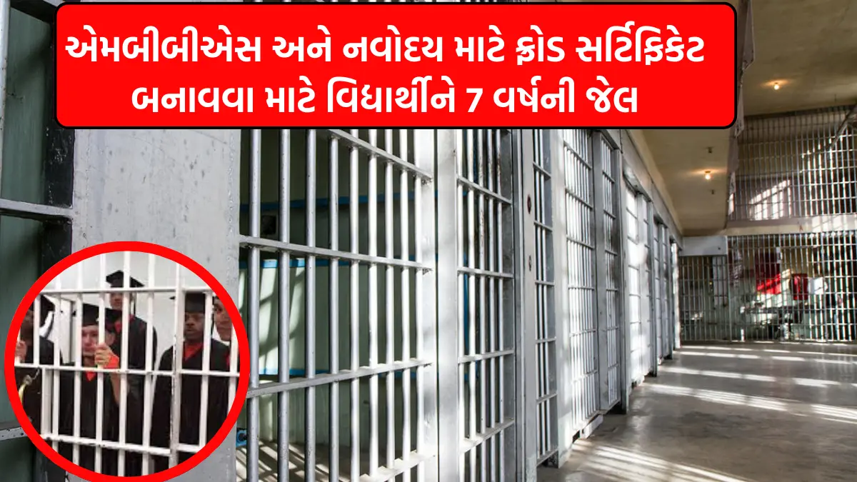 navodaya school and mbbs admission dummy certificate