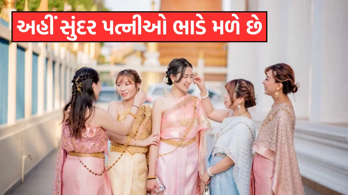 A beautiful wife is found on rent