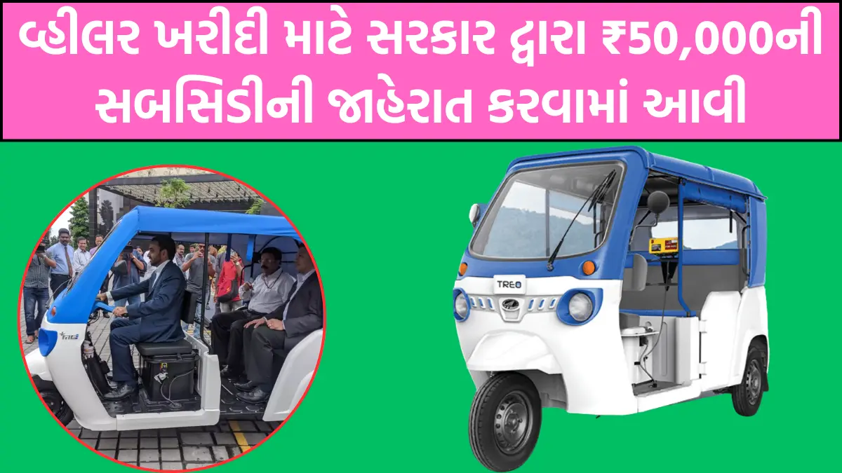 Electric three wheeler subsidy