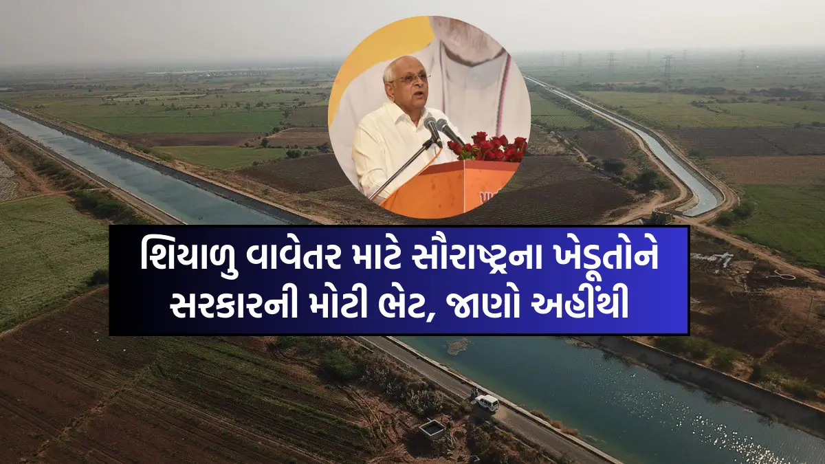 North Gujarat to get 30504 MCFT additional Narmada irrigation water