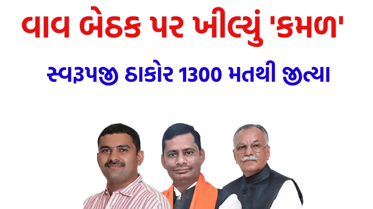 vav election result 2024 bjp won