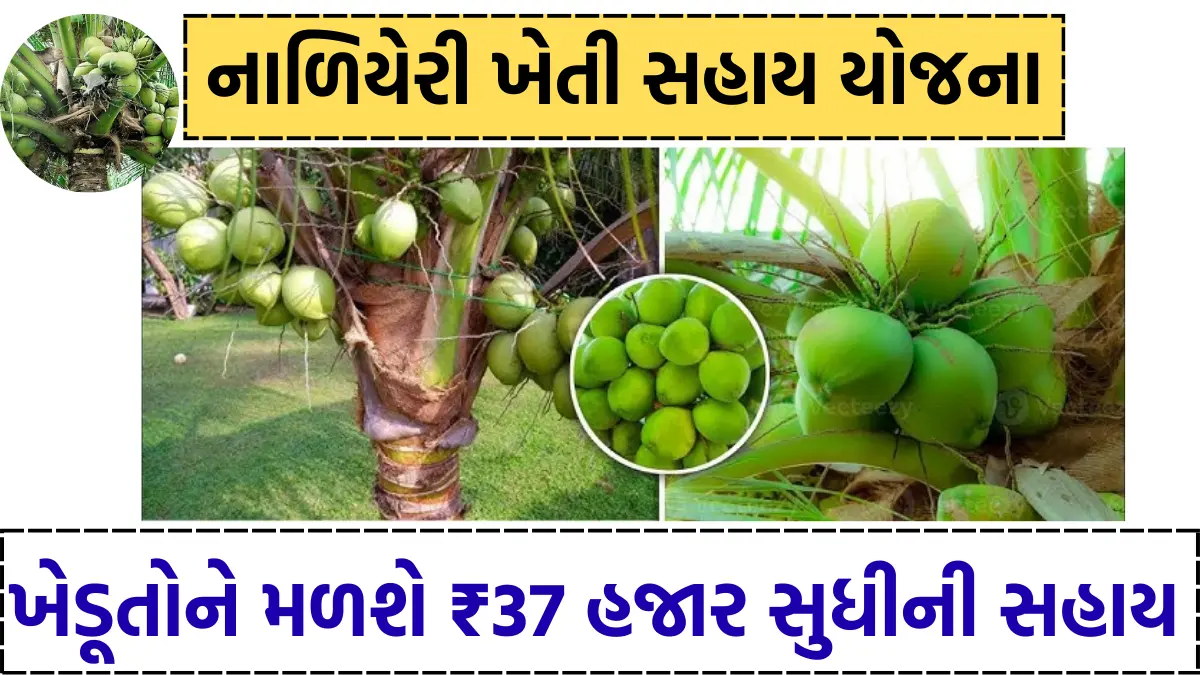 Nariyal sahay yojana gujarat apply online