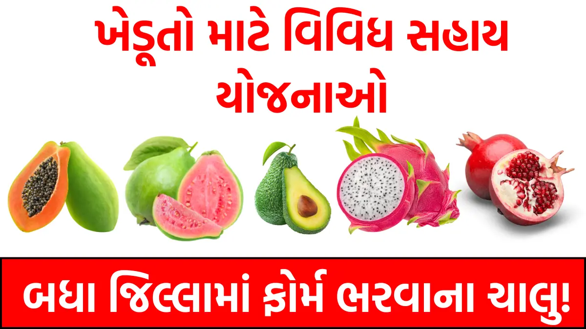 Bagayati Yojana Gujarat 2025