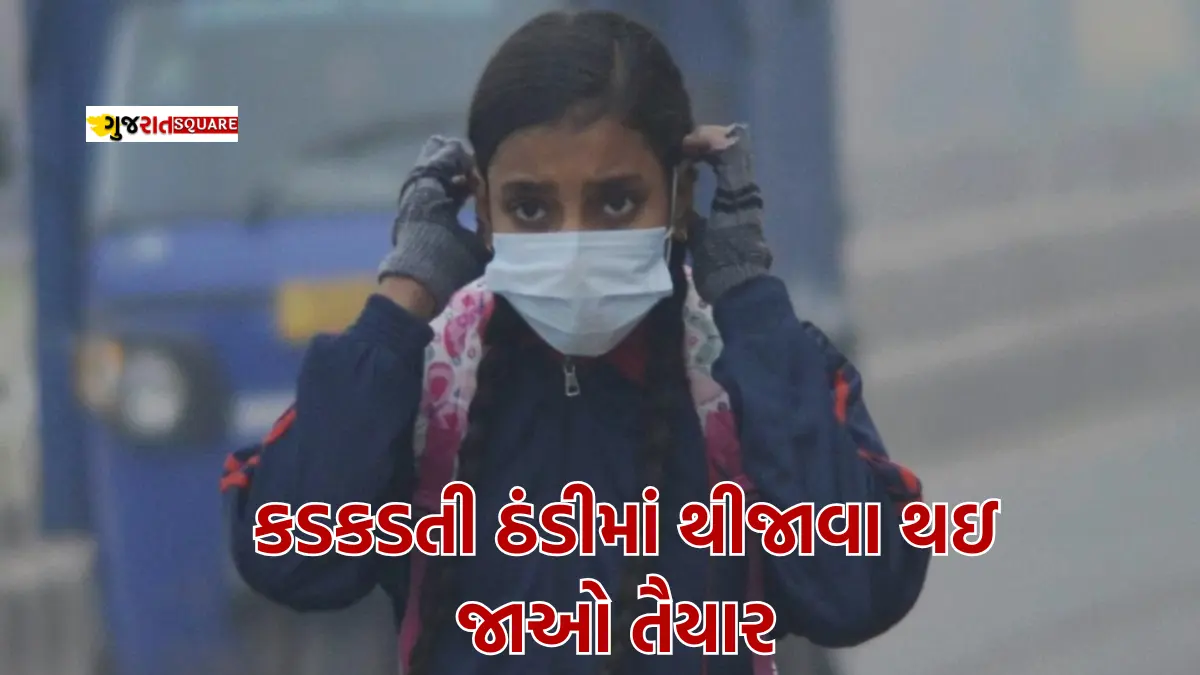 Weather in Gujarat in January 2025