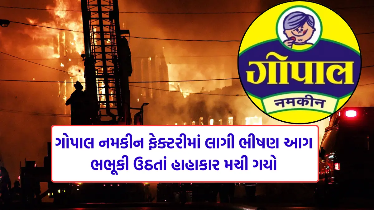 Gopal Namkeen factory Fire