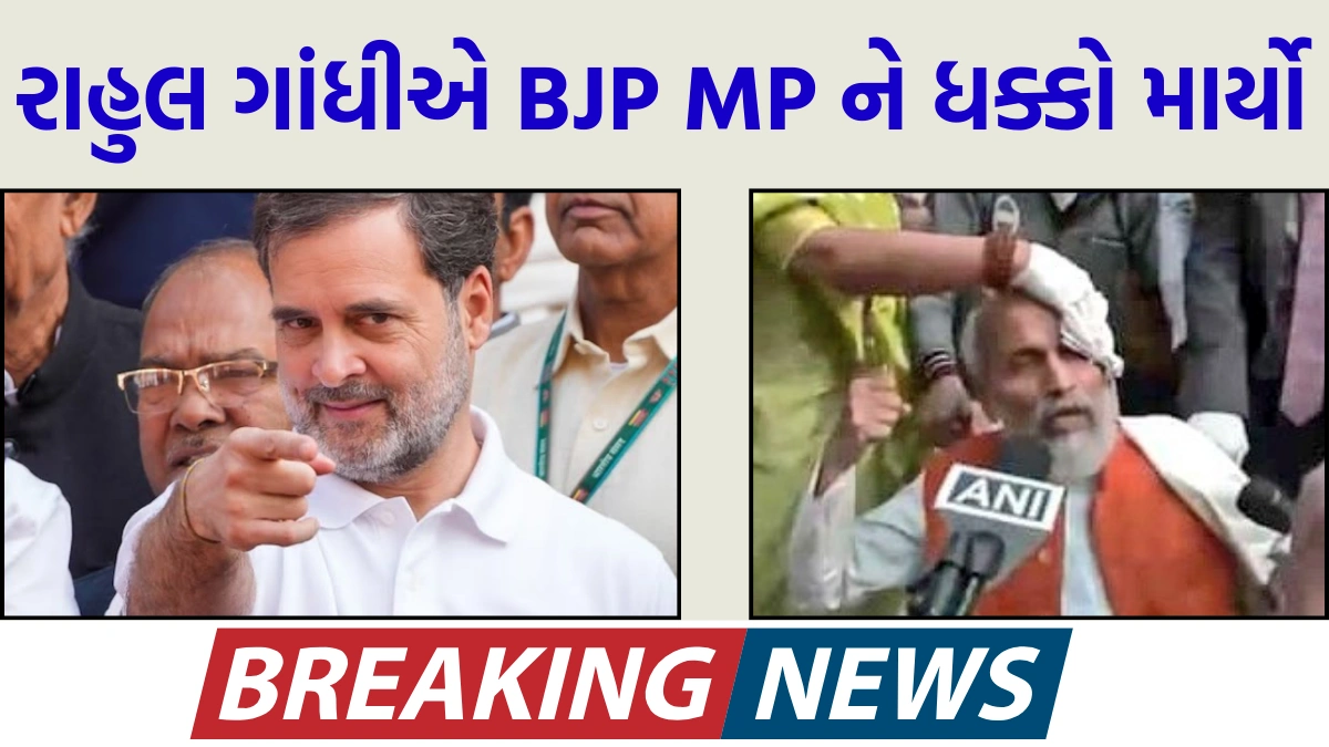 Rahul Gandhi pushes BJP MP