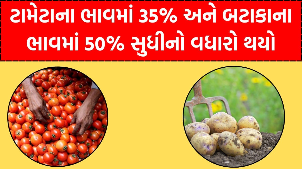 Tomato prices increase by 35% and potato prices by 50%.