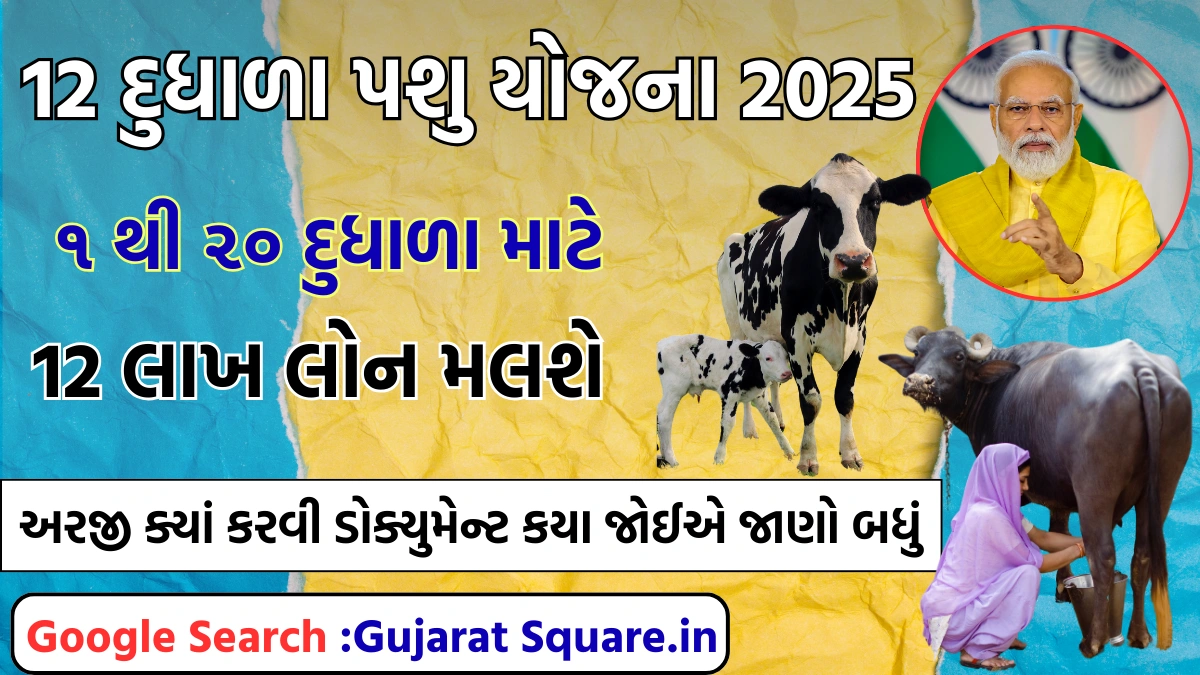 12 dudhala pashu yojana gujarat