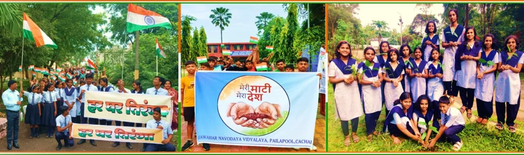 Jawahar navodaya vidyalaya class 6 admit card 2025 