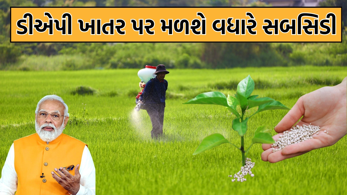 decisions for farmers dap subsidy on fertilizer