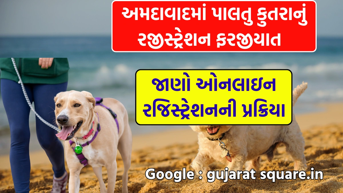 Ahmedabad Pet Dog Registration 2025