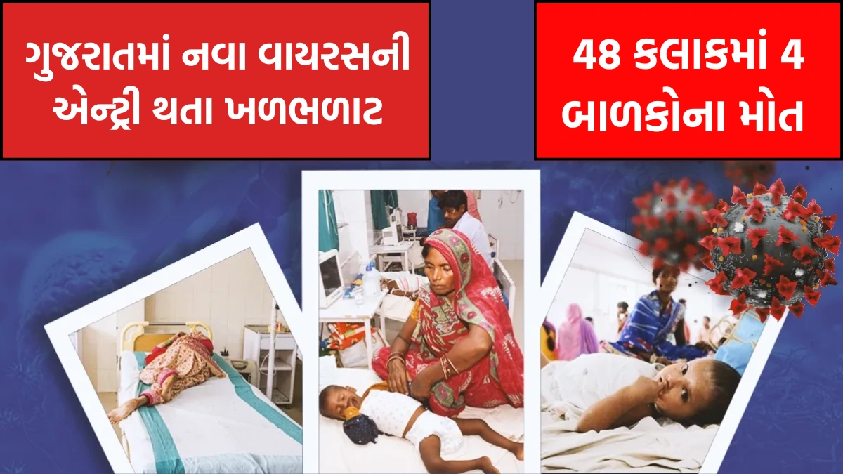 gujarat chandipura virus news 2025