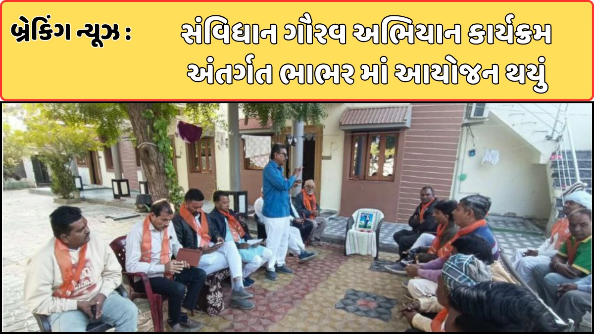 Bhabhar city under the Constitution Pride Campaign program