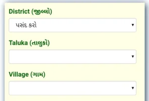 Jamin Survey Number Nakaso Jova Mate online 2025