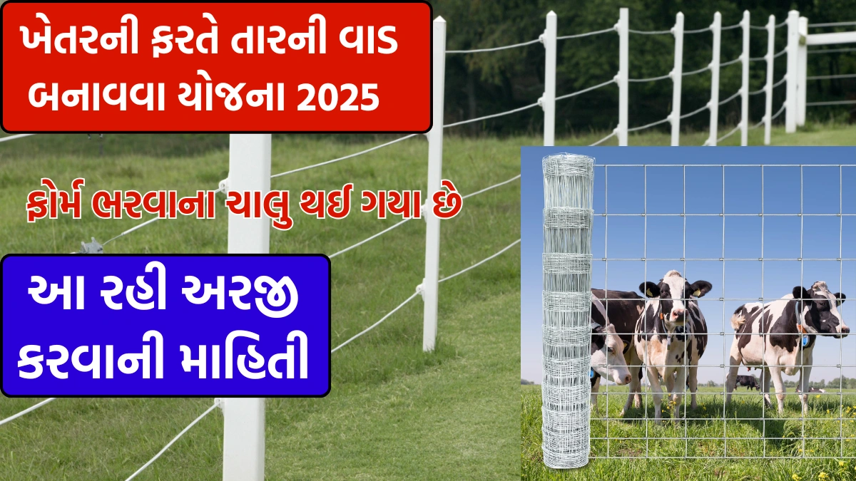 tar fencing yojana gujarat 2025
