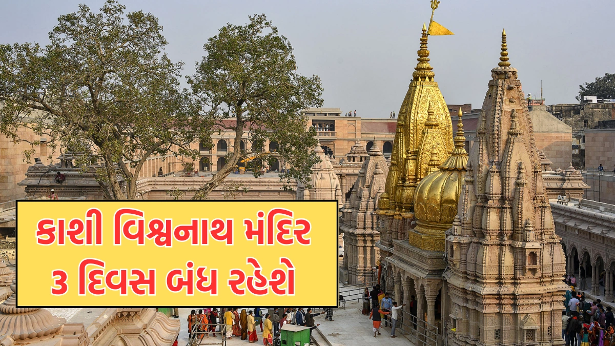 Kashi Vishwanath VIP Darshan