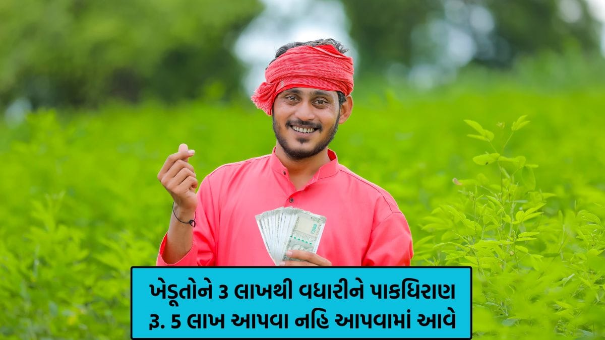 pak dhiran loan in gujarat