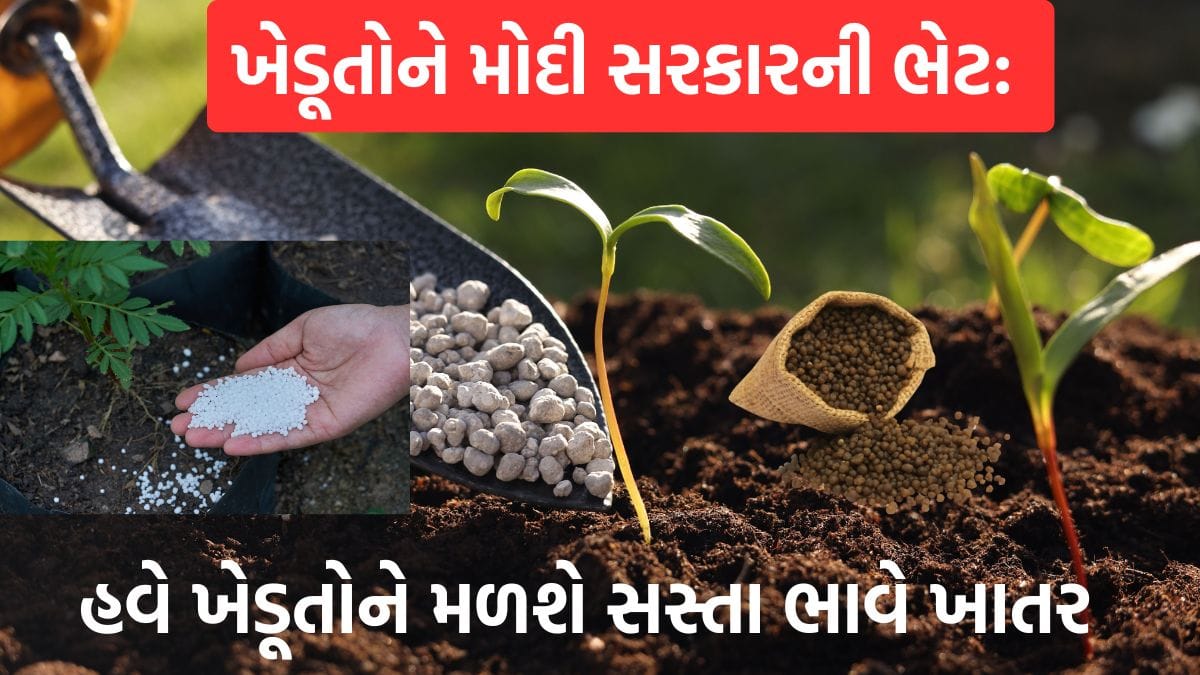 Fertilizer Subsidy 2025