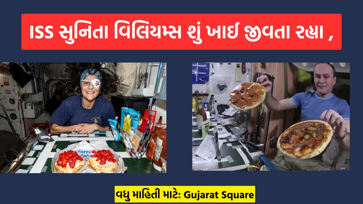 Sunita Williams And Wilmore ate