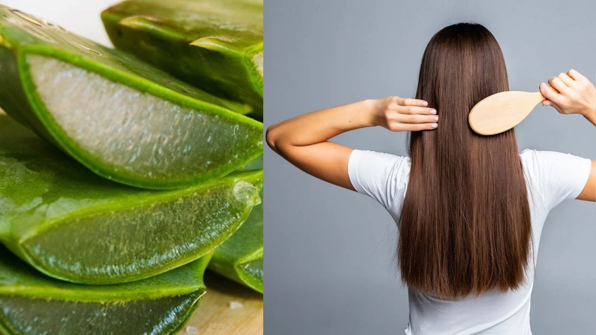 DIY Remedy For Damage Hair