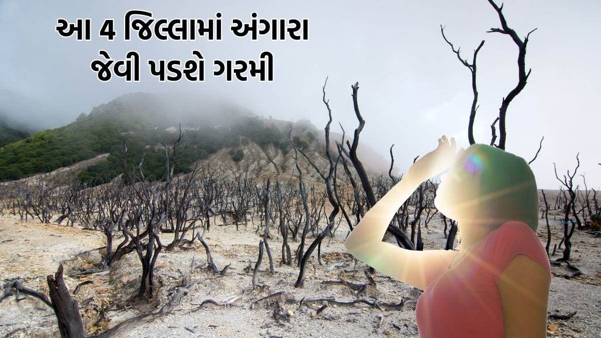 Yellow heat alert in four districts of Gujarat