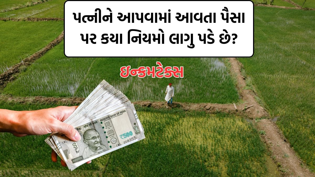 Income Tax Notice 2025