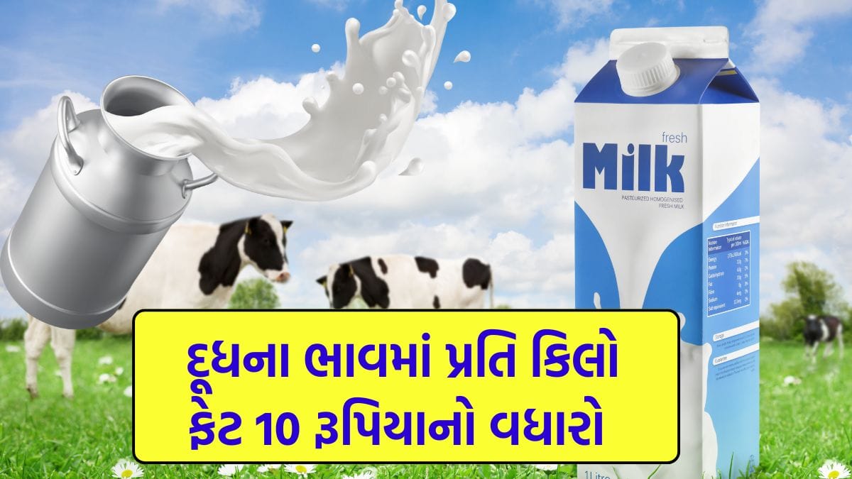 Rajkot Dairy ₹10 per kg of fat increase