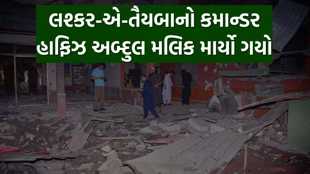 લશ્કર-એ-તૈયબાનો કમાન્ડર હાફિઝ અબ્દુલ મલિક માર્યો ગયો