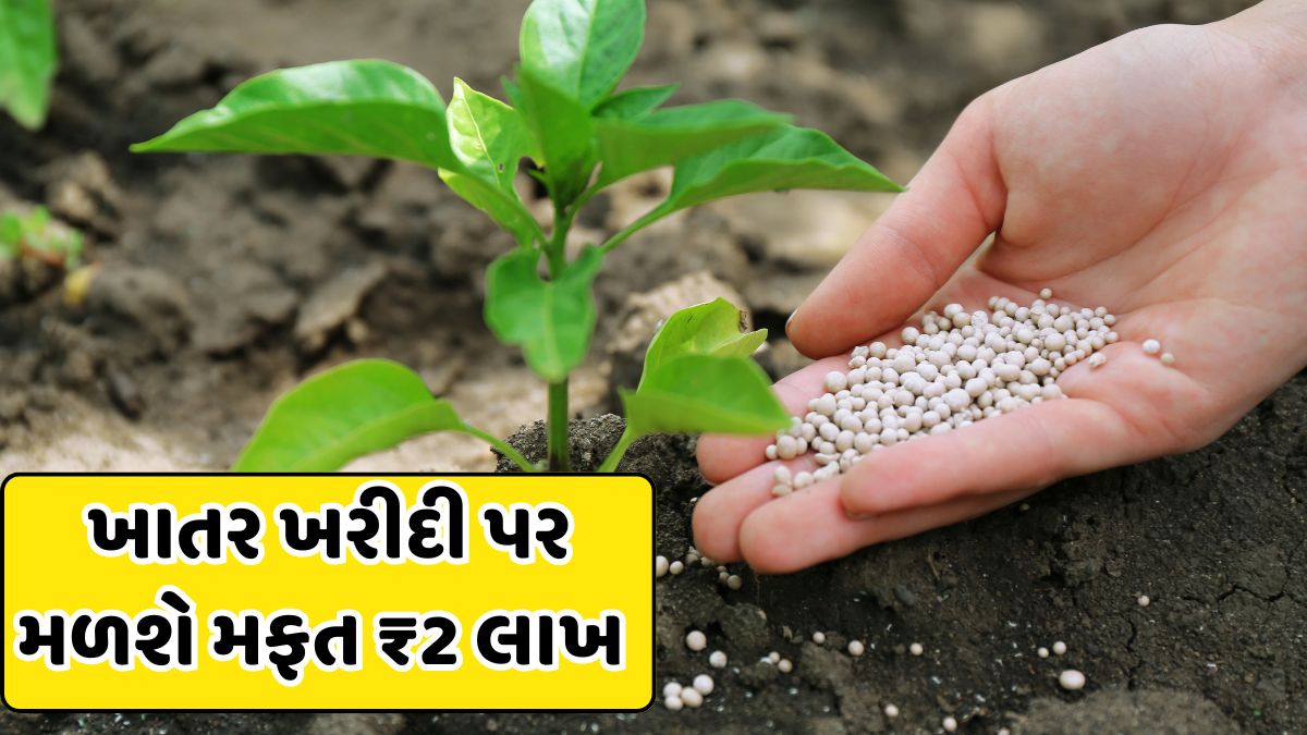 Free accident insurance Rs. 2 lakh dap