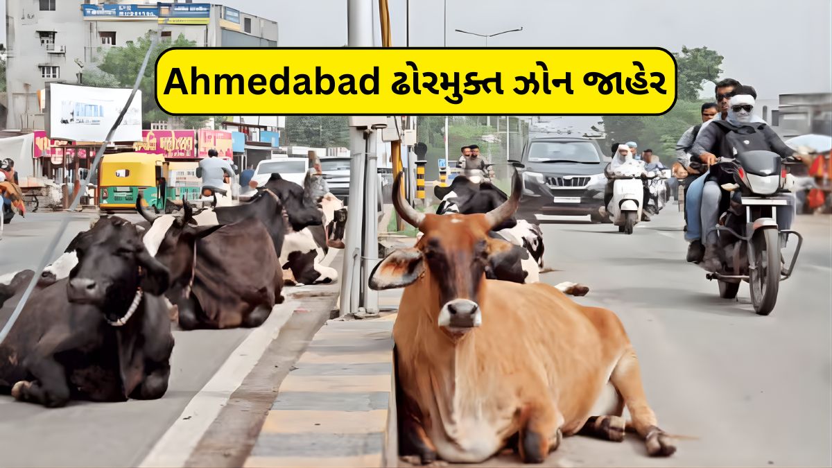 Ahmedabad ઢોરમુક્ત ઝોન જાહેર