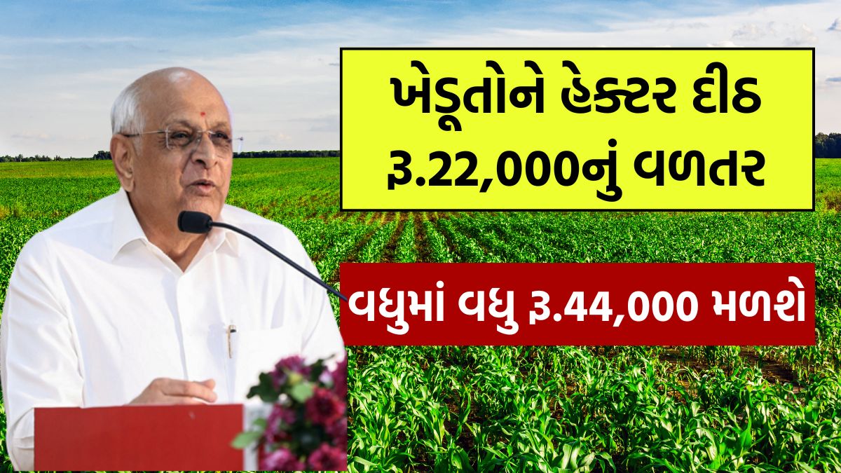 pak nuksan sahay gujarat 2025