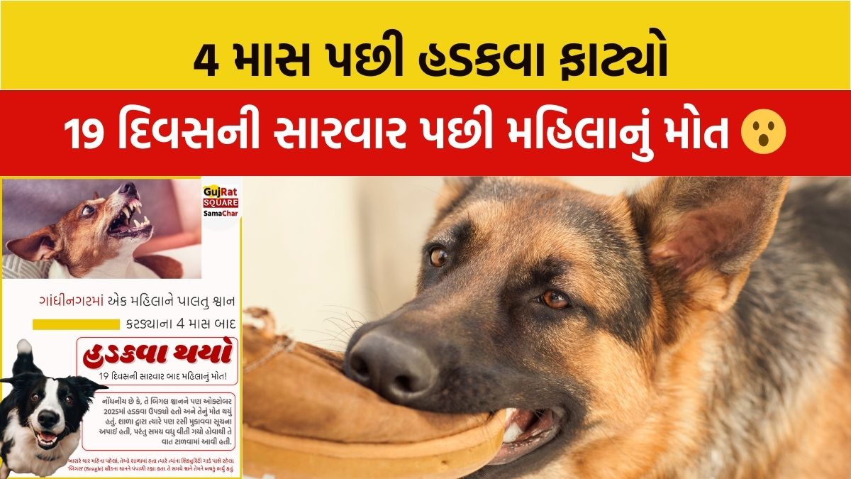 Retired IAS officer's daughter dies of rabies in Gandhinagar