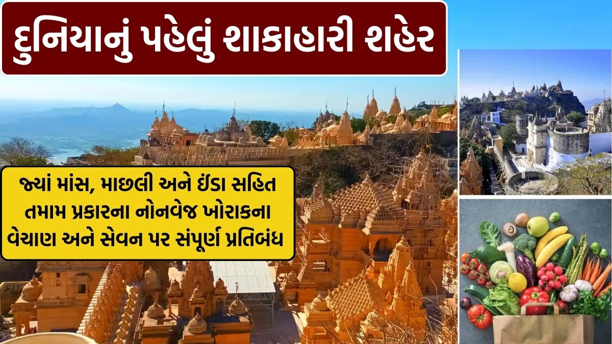 Palitana the world first vegetarian city