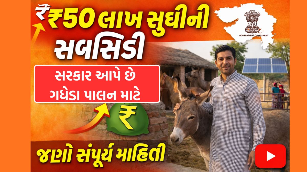 donkey farming subsidy 50 lakhs