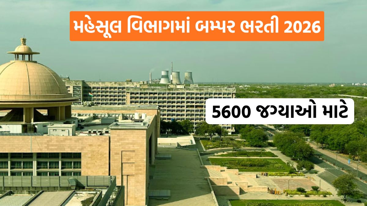 mahsul vibhag bharti 2026