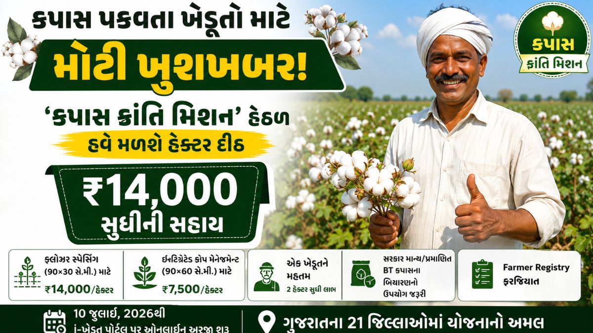 kapas sahay gujarat 2026