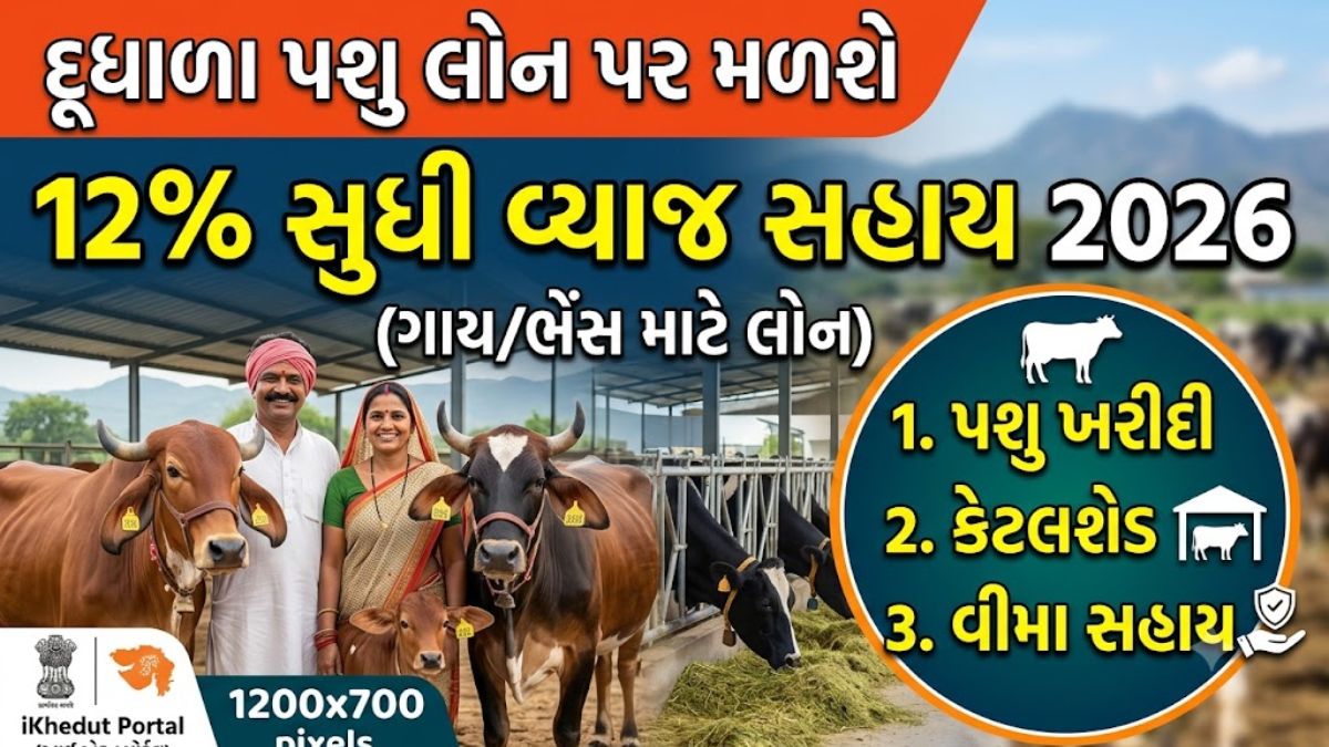 Dudhala pashu loan 2026