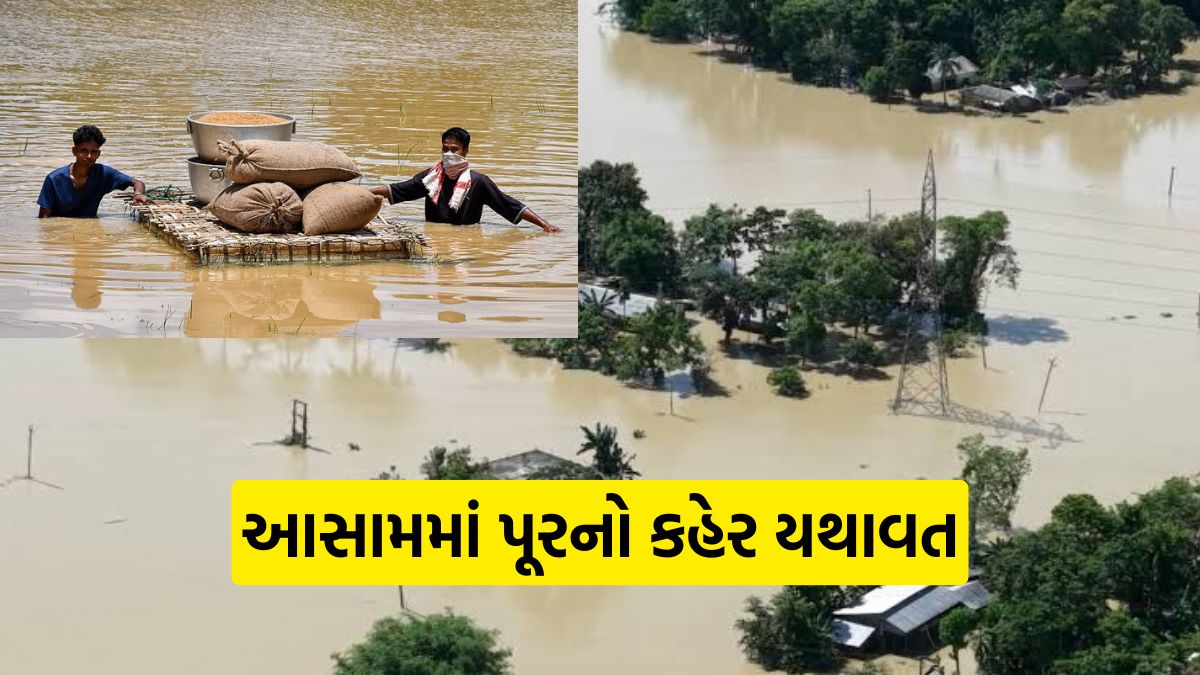 Assam flood news