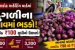 onion price today