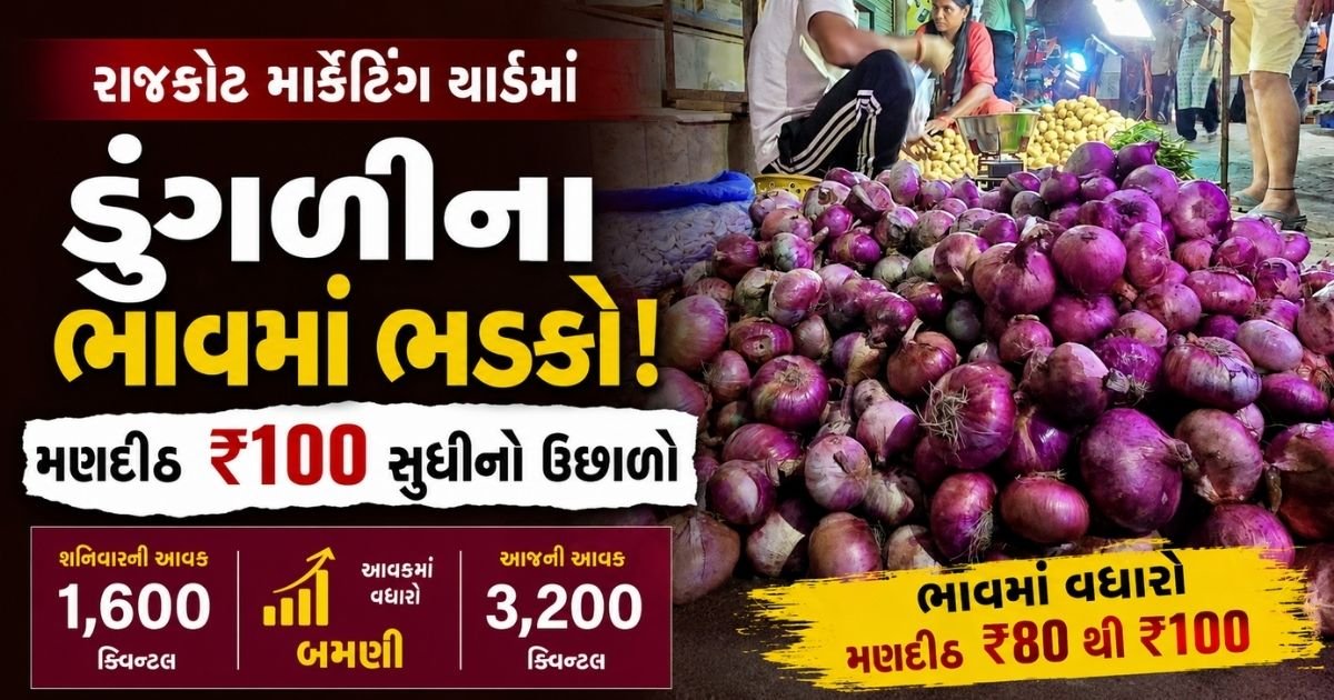 onion price today