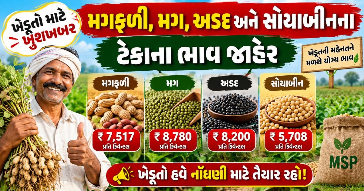 magfali teka na bhav 2026