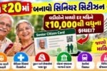 સિનિયર સિટીઝન કાર્ડ